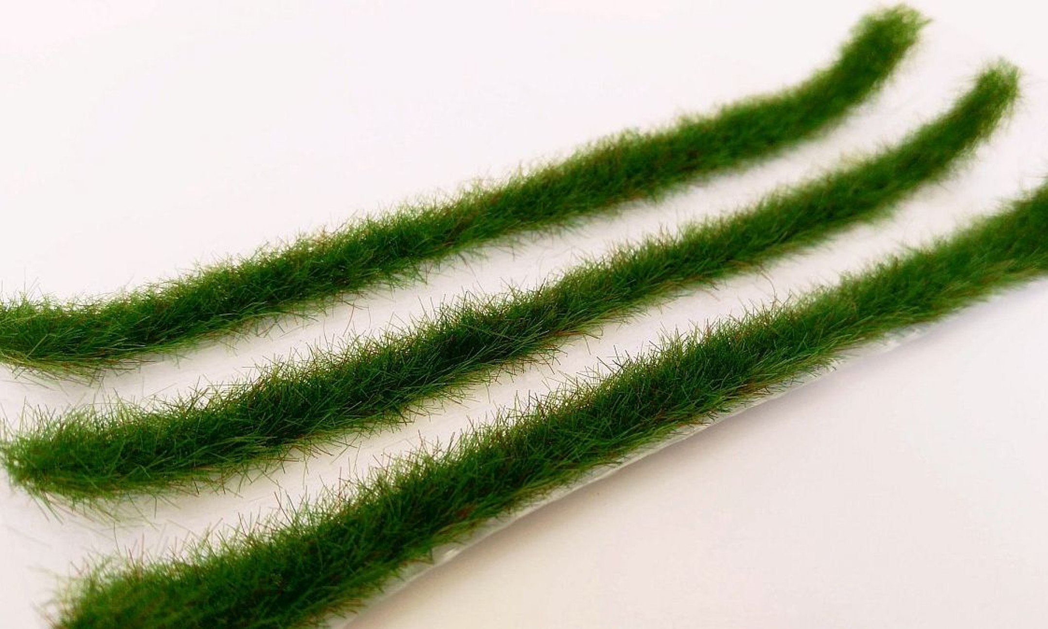 Travn� p�sy - barva �asn� l�to